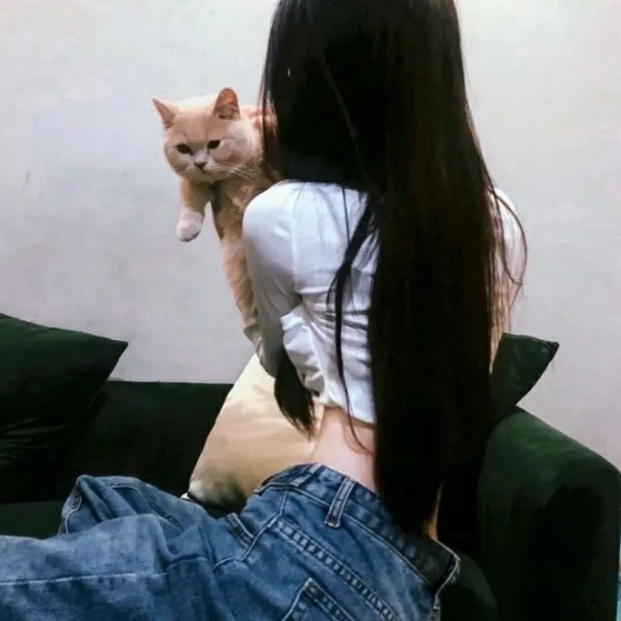 麻醉风暴